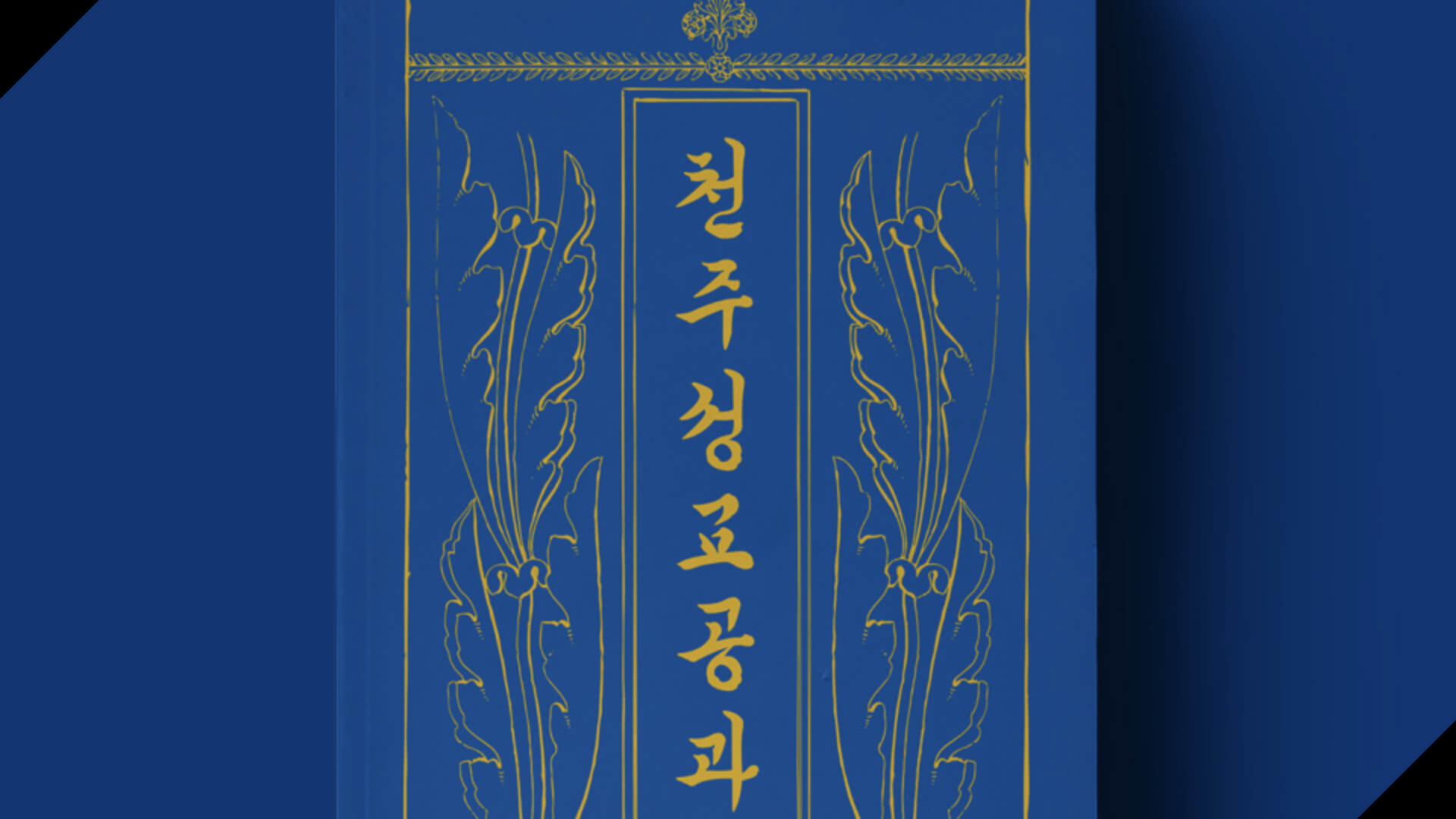 해당 포트폴리오 사진