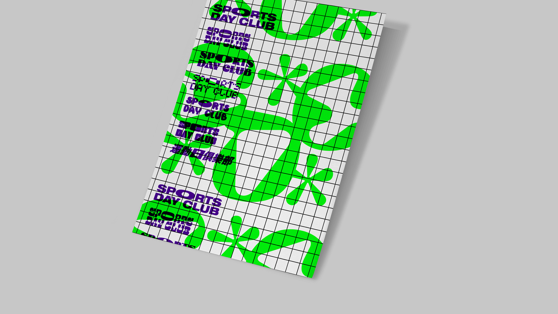 해당 포트폴리오 사진