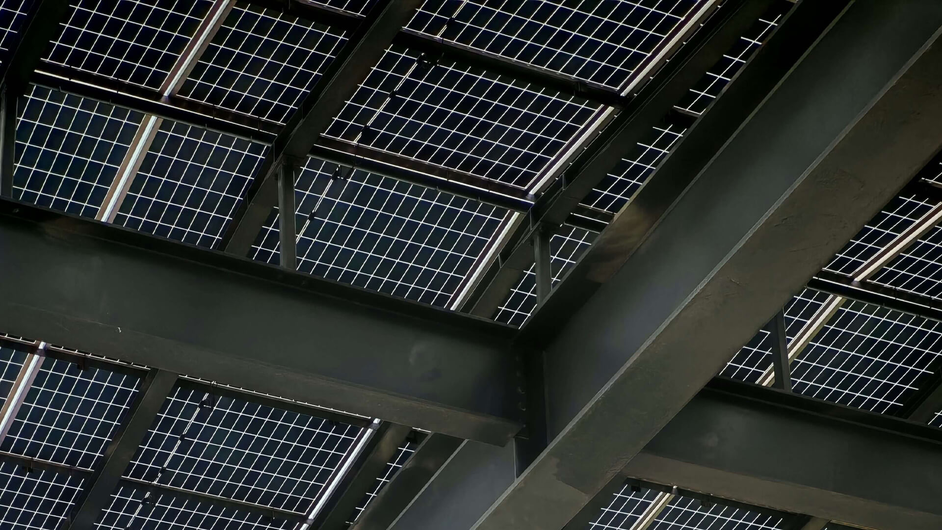 해당 포트폴리오 사진