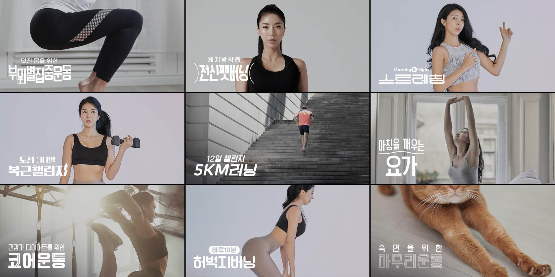 포트폴리오 이미지