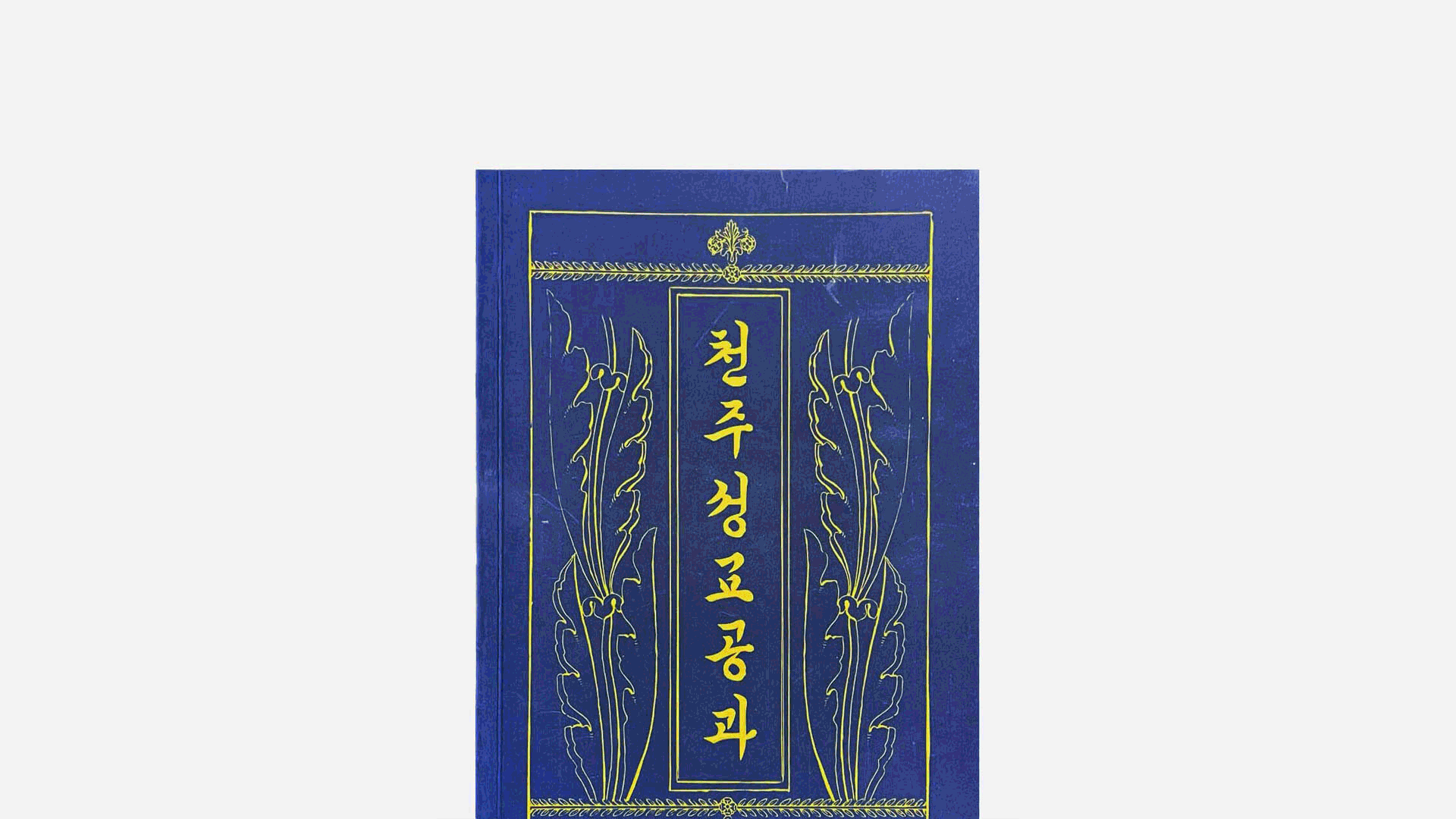 Portfolio Thumbnail photo